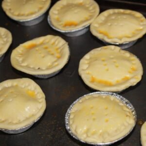 Frozen Chicken Pie